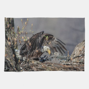 Paño De Cocina Águila calva con su bebé