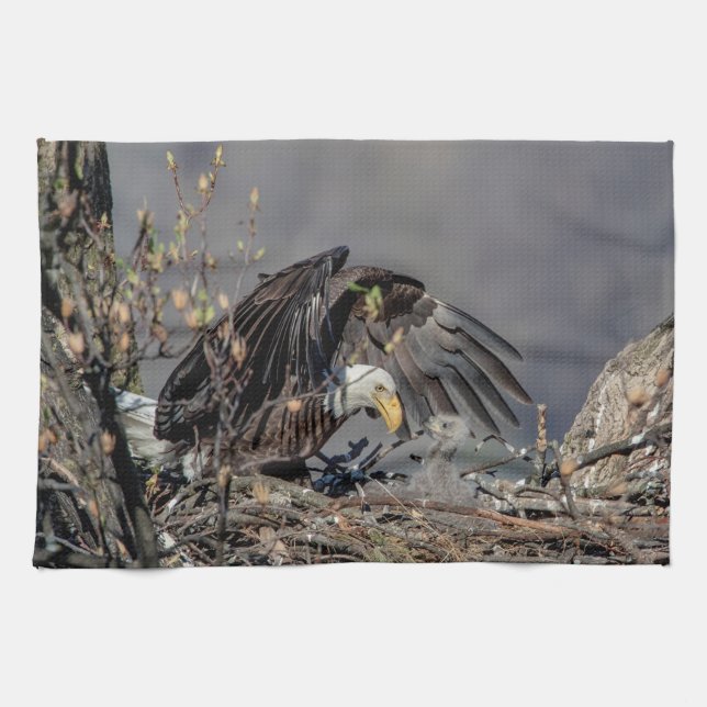 Paño De Cocina Águila calva con su bebé (Horizontal)