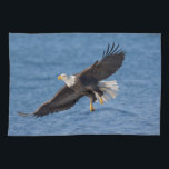 Paño De Cocina Águila calva en vuelo<br><div class="desc">Águila calva,  Homer,  Alaska centro-sur</div>