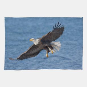 Paño De Cocina Águila calva en vuelo