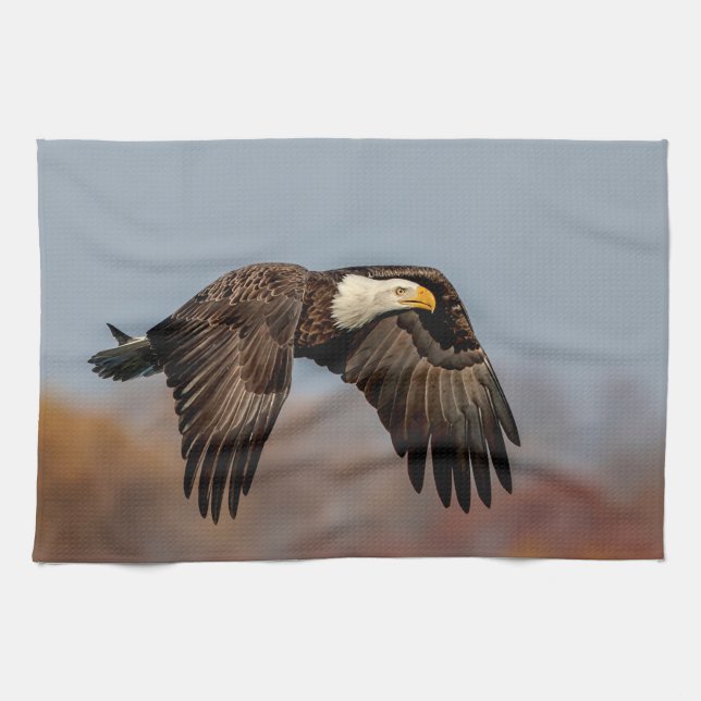 Paño De Cocina Águila calva en vuelo (Horizontal)