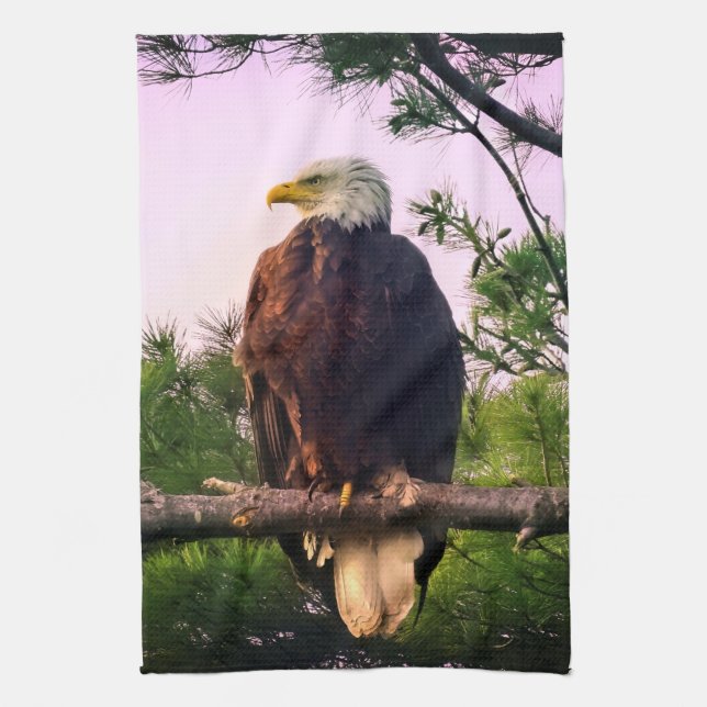 Paño De Cocina Águila calva madura encaramada en árbol verde (Vertical)