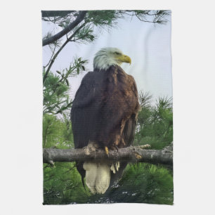 Paño De Cocina Águila Calva Majestuosa Madura Posada en un Árbol