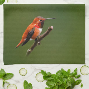Paño De Cocina Alarmante colibrí rufous sobre el Árbol de cerezas