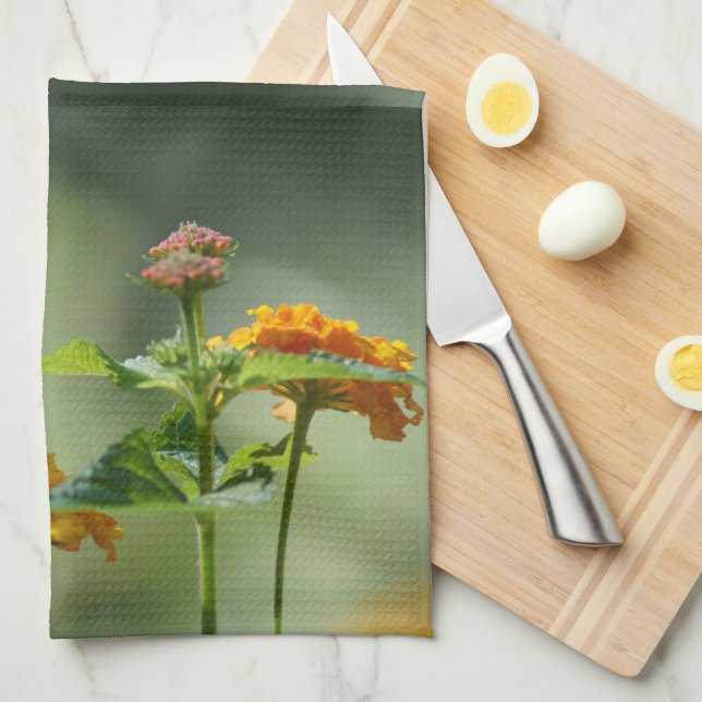 Paño De Cocina Alas de la luz (Doblado Cuarto)