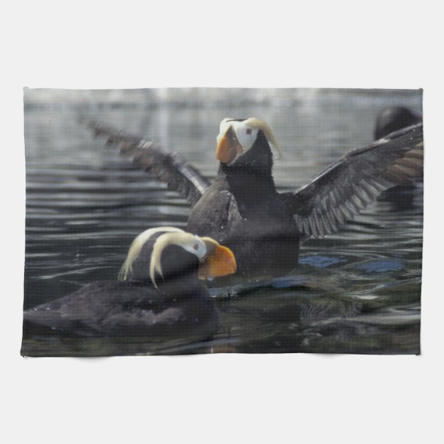 Paño De Cocina Alaska Tufted puffins (Horizontal)