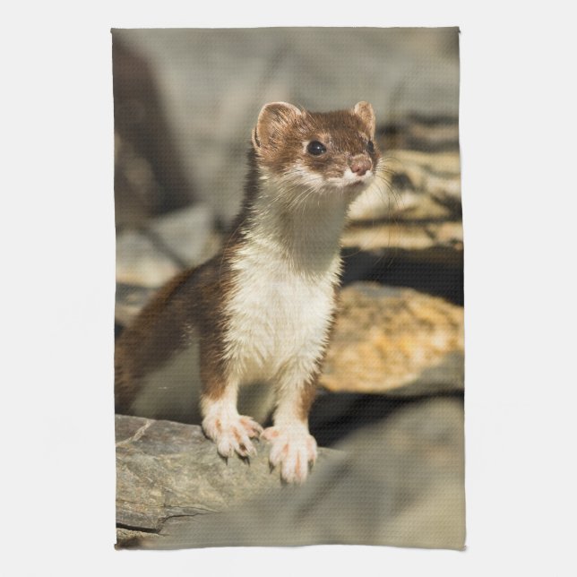 Paño De Cocina Alert Weasel (Vertical)