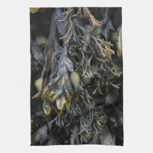 Paño De Cocina Alga marina