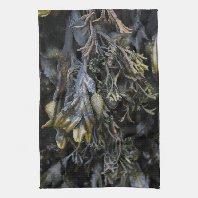 Paño De Cocina Alga marina (Vertical)