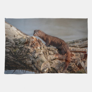 Paño De Cocina American Mink