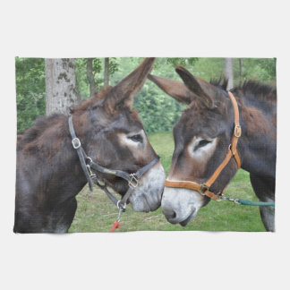 Paño De Cocina Amigos del burro