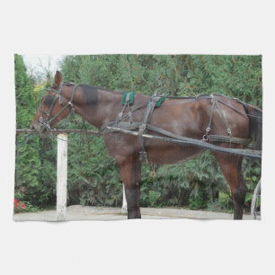 Paño De Cocina Amish Horse