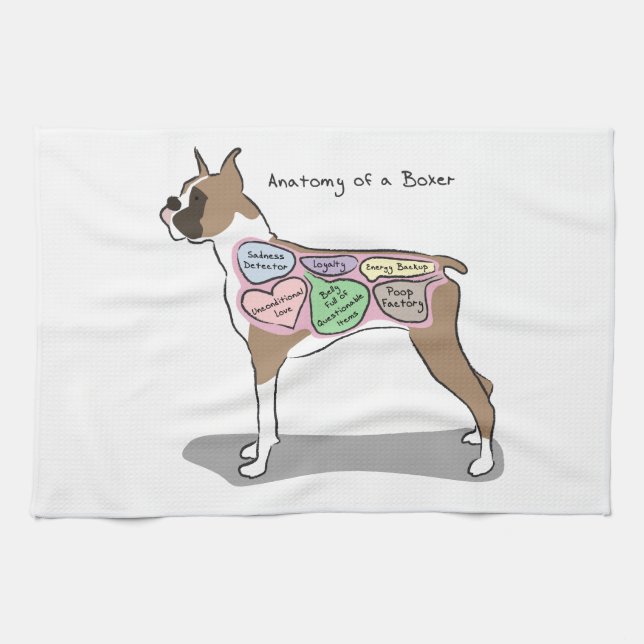 Paño De Cocina Anatomía de los regalos de un perro del boxeador (Horizontal)
