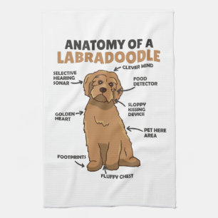 Paño De Cocina Anatomía De Un Cachorro De Cañón De Labradoodle