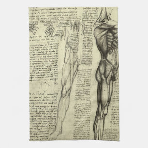 Paño De Cocina Anatomía Humana Masculina de Leonardo da Vinci Mús