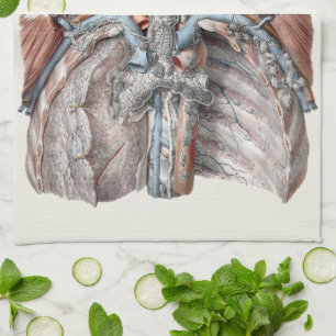 Paño De Cocina Anatomía humana vintage de garganta, cuello, pecho