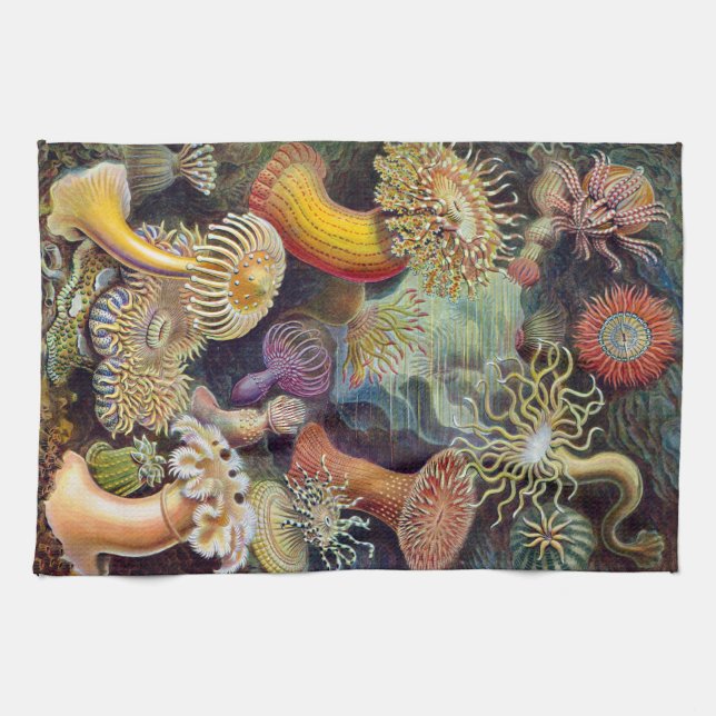 Paño De Cocina Anémona de mar de Ernst Haeckel Actiniaea (Horizontal)