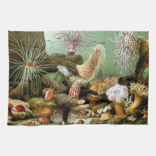 Paño De Cocina Anémonas marinas, animales marinos de vida vintage
