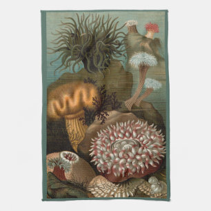 Paño De Cocina Anémonas marinas impresas del siglo XIX