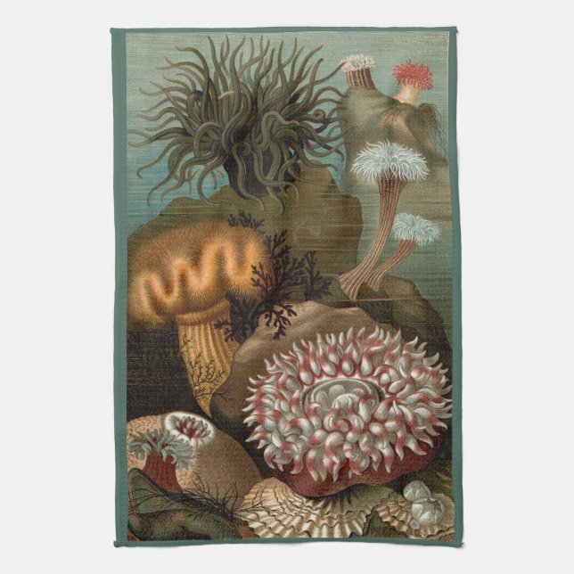 Paño De Cocina Anémonas marinas impresas del siglo XIX (Vertical)
