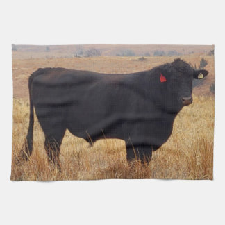 Paño De Cocina Angus negros Steer Grazing con su manada