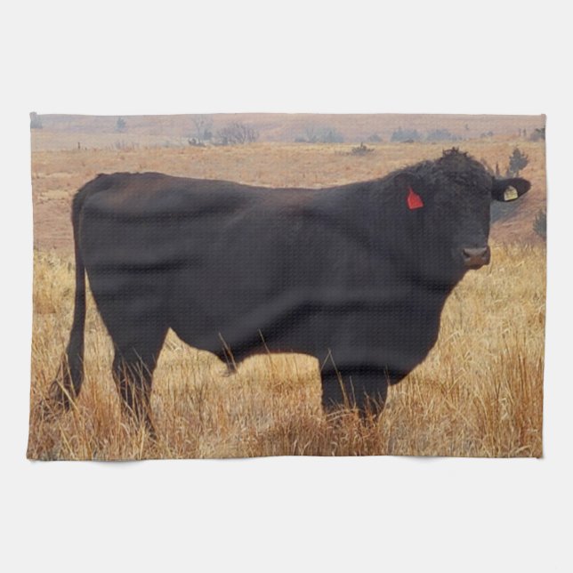 Paño De Cocina Angus negros Steer Grazing con su manada (Horizontal)