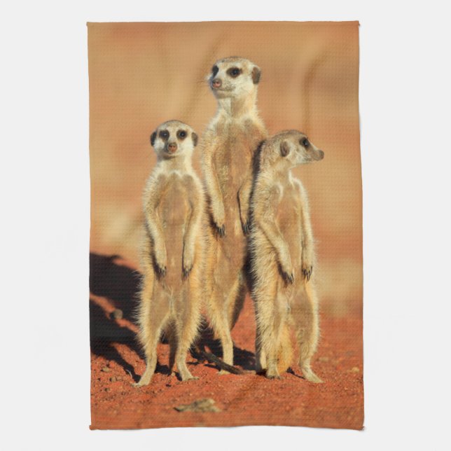 Paño De Cocina Animales de bebé más afectados | 3 Meerkats (Vertical)