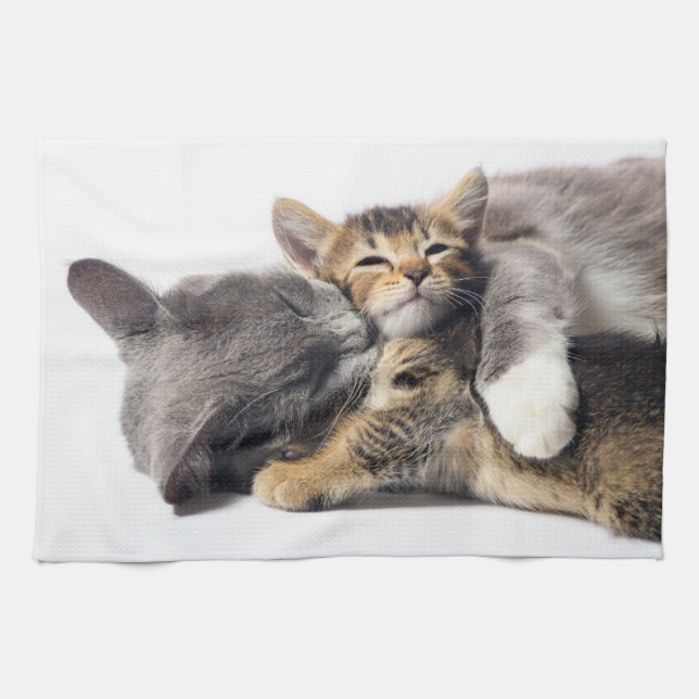 Paño De Cocina Animales de bebé más afectados | Abrazo de gatitos (Horizontal)
