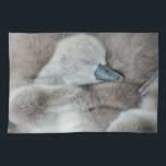 Paño De Cocina Animales de bebé más afectados | Baby Mute Swan<br><div class="desc">Esta linda foto de Getty Images muestra a un bebé cisne mute.</div>