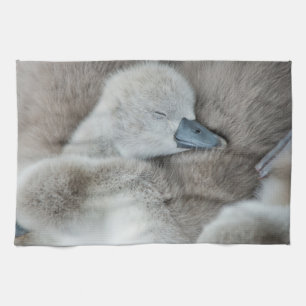 Paño De Cocina Animales de bebé más afectados Baby Mute Swan
