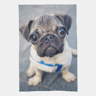 Paño De Cocina Animales de bebé más afectados Baby Pug