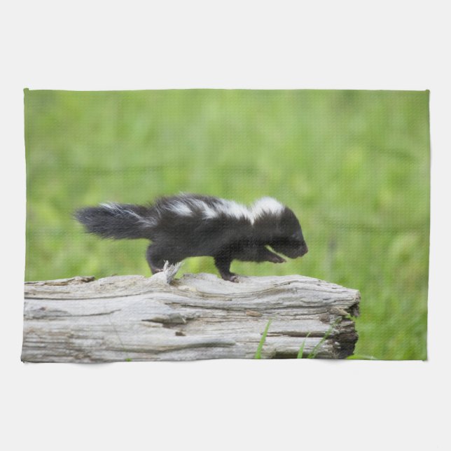 Paño De Cocina Animales de bebé más afectados | Baby Skunk (Horizontal)