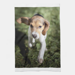 Paño De Cocina Animales de bebé más afectados   Beagle Puppy