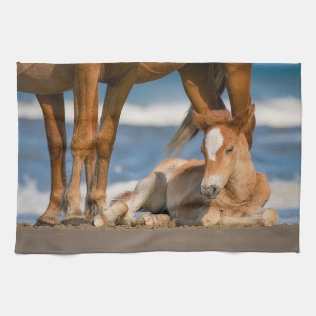 Paño De Cocina Animales de bebé más afectados | Caballo salvaje C (Horizontal)