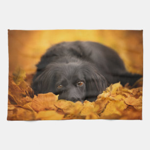 Paño De Cocina Animales de bebé más afectados   Cachorro español 