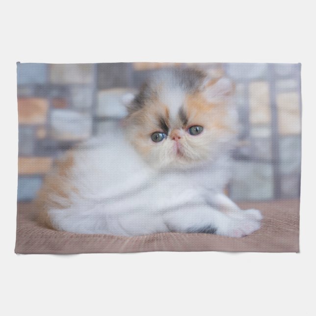 Paño De Cocina Animales de bebé más afectados | Calico Persian Ki (Horizontal)