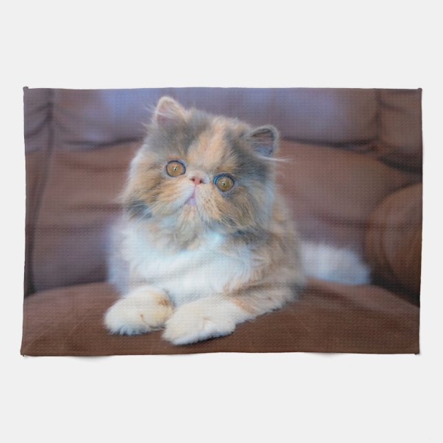 Paño De Cocina Animales de bebé más afectados | Calico Persian Ki (Horizontal)