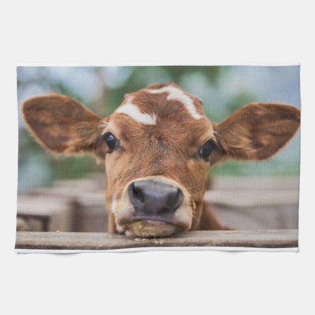 Paño De Cocina Animales de bebé más afectados | Calvario de vaca  (Horizontal)