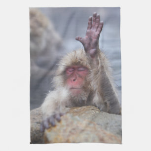 Paño De Cocina Animales de bebé más afectados   Cara de mono de n