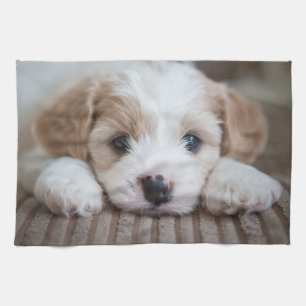 Paño De Cocina Animales de bebé más afectados   Cavashon Puppy