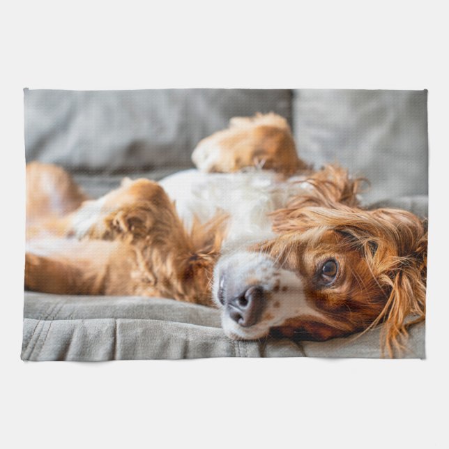 Paño De Cocina Animales de bebé más afectados | Cocker Spaniel (Horizontal)