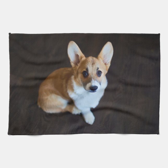 Paño De Cocina Animales de bebé más afectados | Corgi Buscando (Horizontal)