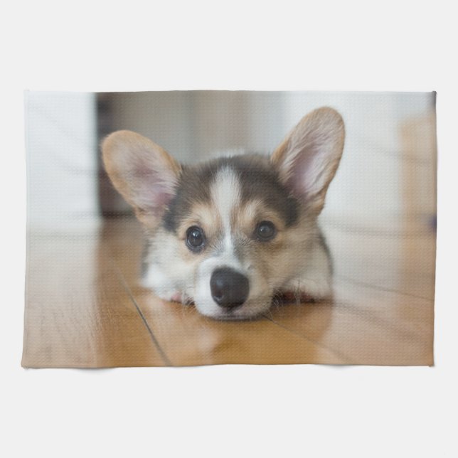 Paño De Cocina Animales de bebé más afectados | Corgi Puppy (Horizontal)