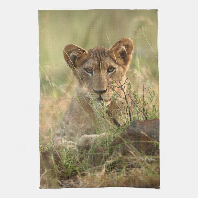 Paño De Cocina Animales de bebé más afectados | Cubo de león para (Vertical)