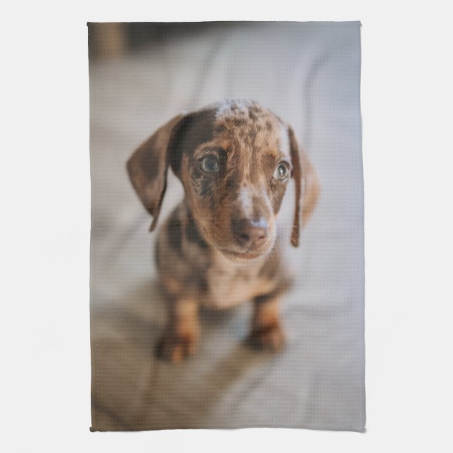 Paño De Cocina Animales de bebé más afectados | Dachshund Puppy (Vertical)