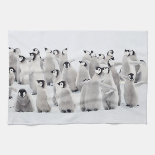 Paño De Cocina Animales de bebé más afectados   Emperador Pingüin