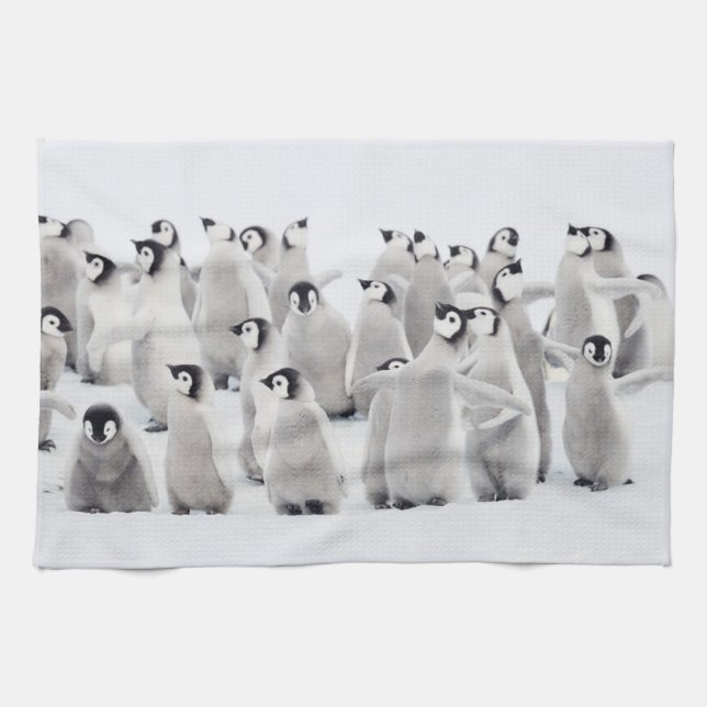 Paño De Cocina Animales de bebé más afectados | Emperador Pingüin (Horizontal)