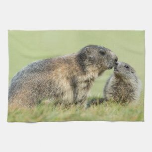 Paño De Cocina Animales de bebé más afectados Familia de marmot
