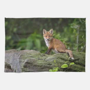 Paño De Cocina Animales de bebé más afectados Foxy Smile