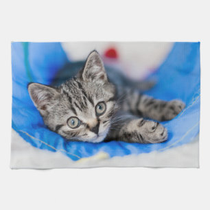 Paño De Cocina Animales de bebé más afectados   Gatito de Tabby e